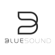 Bluesound_logo_110px_BW