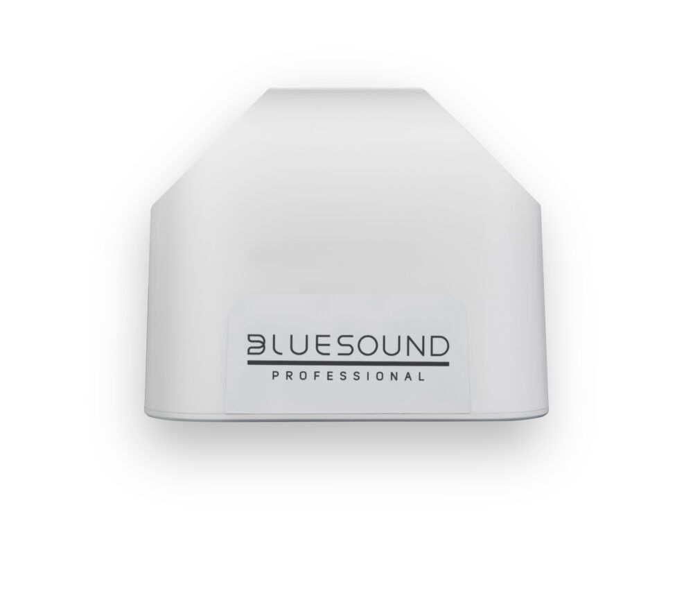 Bluesound BSP200B