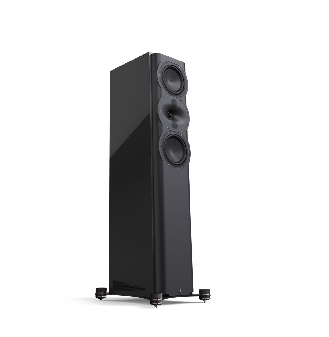 Perlisten R5t zwart